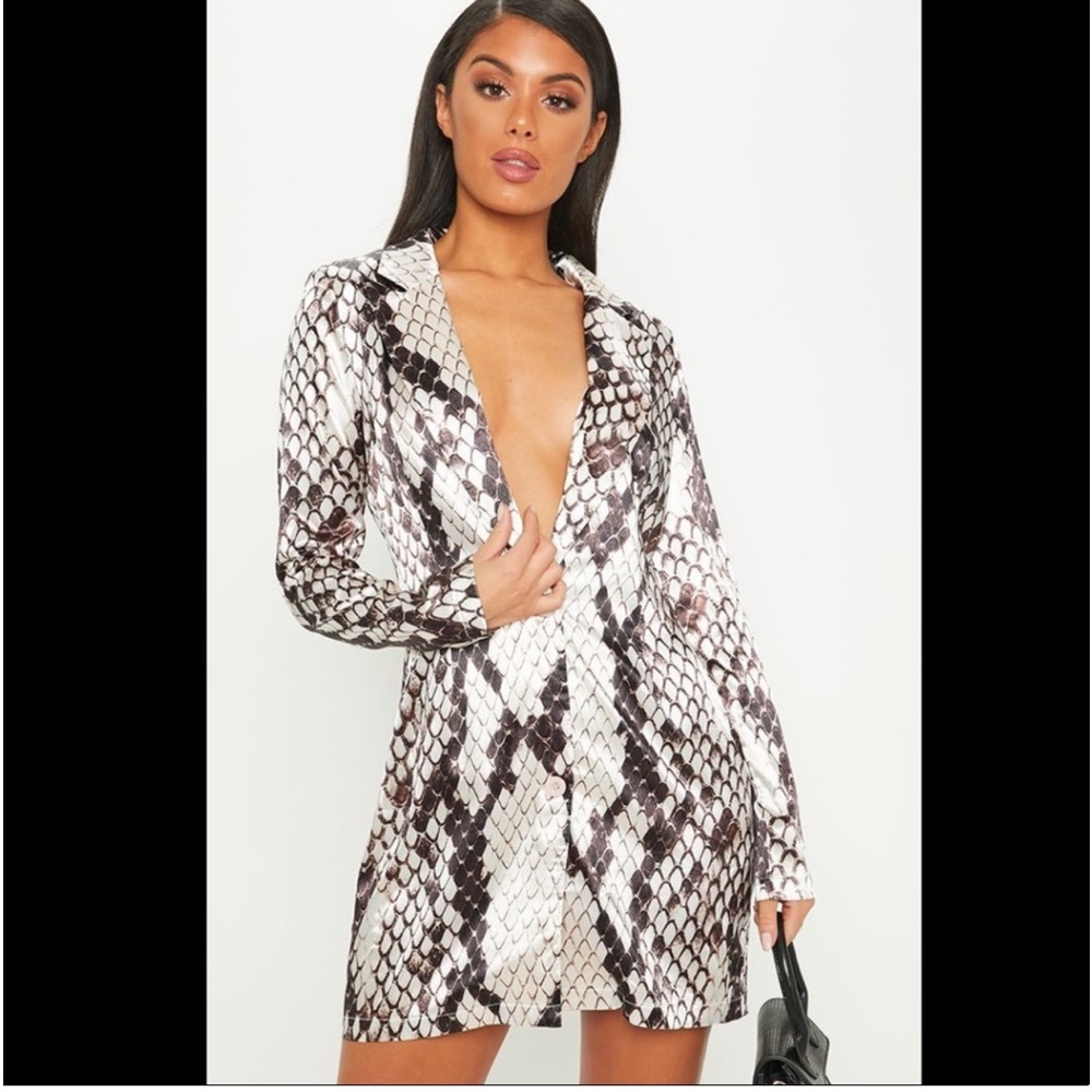 PLT Silk Long Sleeve Dress (4)